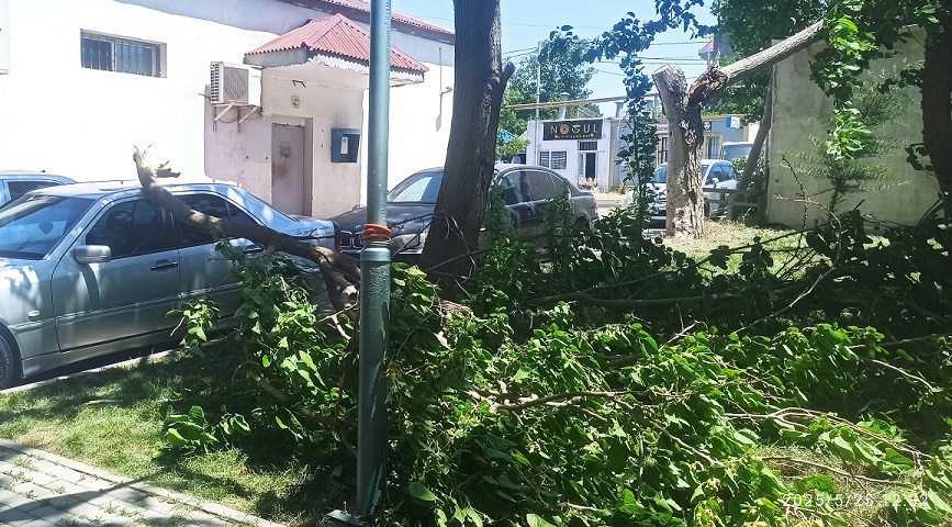 This image has an empty alt attribute; its file name is 2-8.jpg